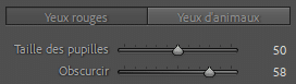 Outils de réglages pour les yeux rouges dans Lightroom Classic