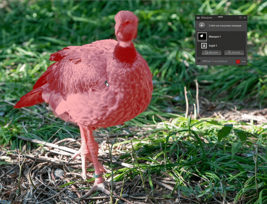 Sélectionner un sujet dans Lightroom Classic