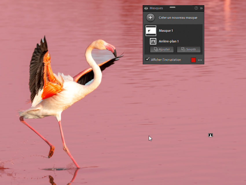 Détection d'un arrière plan dans Lightroom Classic