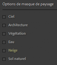 Détection de la neige dans Lightroom Classic