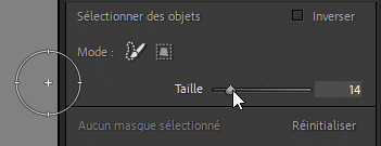 Sélection d'objet et pinceau dans Lightroom Classic