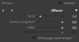 Effacer avec le pinceau dans Lightroom Classic