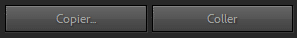 Boutons Cpier et Coller dans Lightroom Classic
