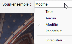 Création de sous ensemble dans la boîte de dialogue Copier de Lightroom Classic