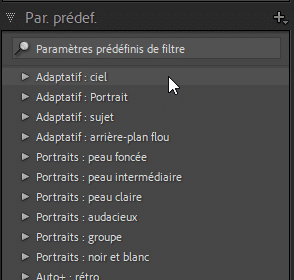 Panneau des paramètres prédéfinis dans Lightroom Classic