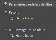 Mettre en favoris des paramètres prédéfinis dans Lightroom Classic