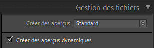 Créer des aperçus dynamiques à l'importation de photos dans Lightroom Classic