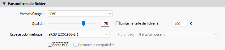 Paramètres de fichier pour exporter avec Lightroom Classic