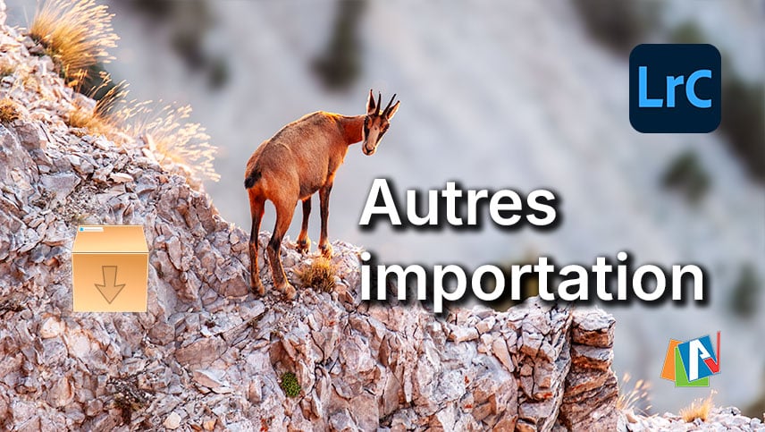 Autres types d'importation dans Lightroom Classic
