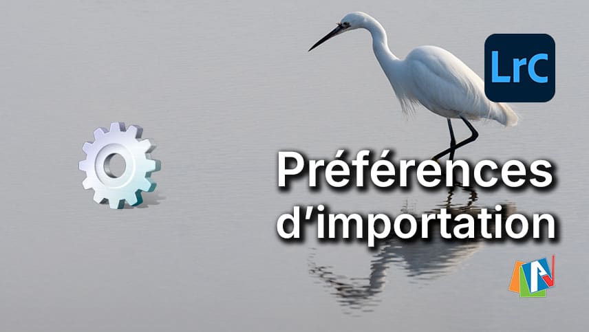 Préférences d'importation dans Lightroom Classic