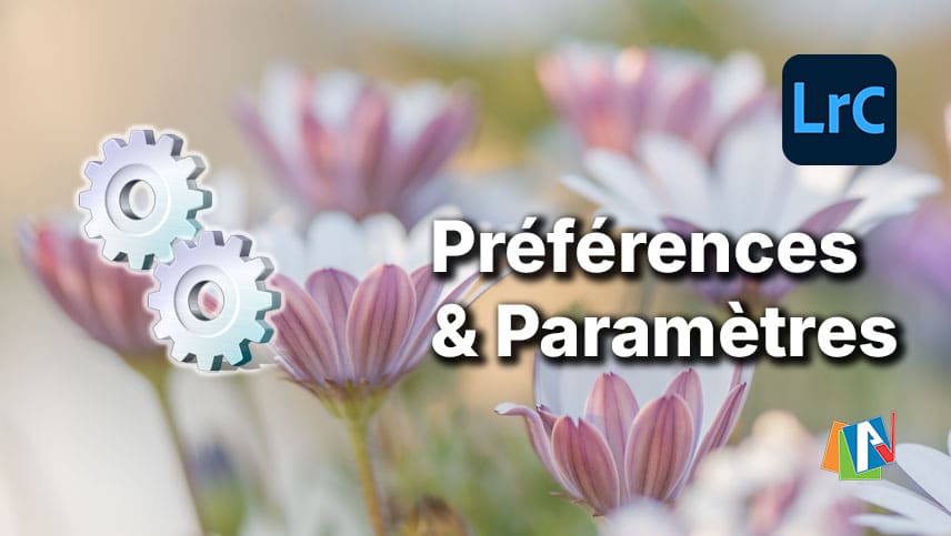 Préférences et paramètres du Catalogue de Lightroom Classic