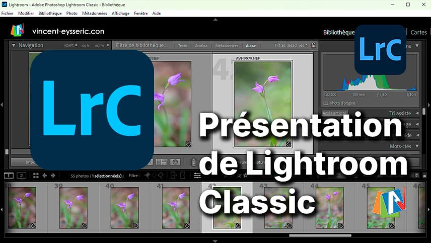 Présentation de Lightroom Classic