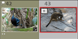 Informations dans le Film fixe.