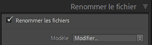 Panneau Renommer de la fonction Importer de Lightroom Classic