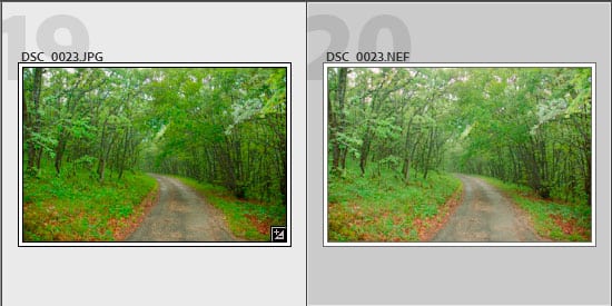 Deux vignettes avec une photo JPEG et une au format RAW
