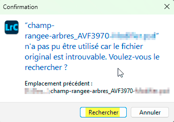 Rechercher la photo manquante