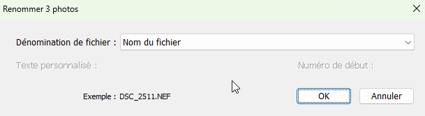 Renommer Nom de fichier dans Lightroom Classic