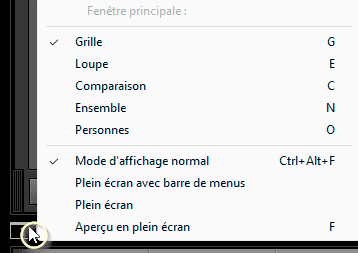 Les différentes vues disponibles pour l'écran principal de Lightroom Classic