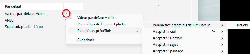 Affecter un paramètre prédéfini pour un boitier dans Lightroom Classic