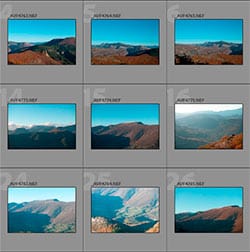 Affiche en mode Grille G