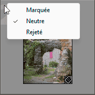 Attribuer un marqueur à une photo dans Lightroom Classic