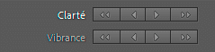 Flèches de développement rapide de Clarté et Vibrance dans Lightroom Classic