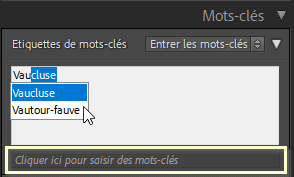 Cliquez ici pour saisir un mot clé dans Lightroom Classic