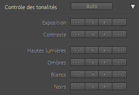 Contrôle de la tonalité dans le panneau Développement rapide de Lightroom Classic