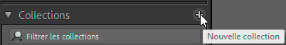 Créer une collection dans Lightroom Classic Créer une collection dans Lightroom Classic