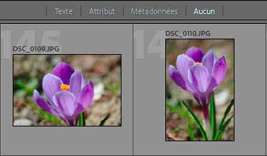 Faire défiler par ligne dans Lightroom Classic