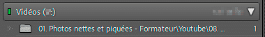 Affiche du nom et du chemin d'un dossier dans Lightroom Classic