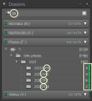 Filtre sur les dossiers avec les libellés de couleur et un texte de recherche dans Lightroom Classic.