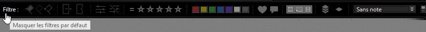 Filtre fixe ouvert dans Lightroom Classic