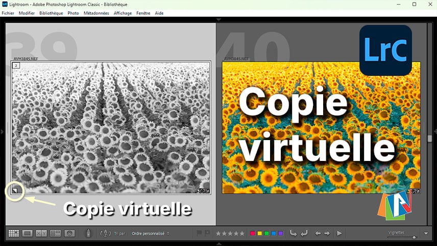 Les copies virtuelles dans Lightroom Classic