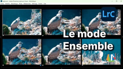 Le mode Ensemble dans Lightroom Classic