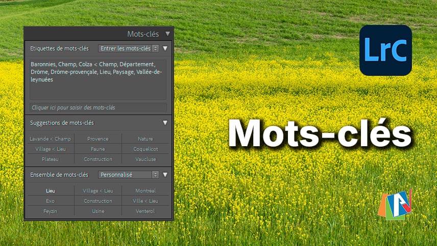 Les mots clés dans Lightroom Classic
