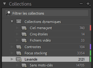 Libellés de couleurs dans les collections de Lightroom Classic
