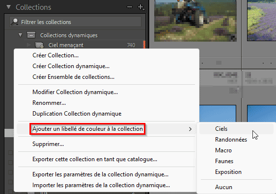 Les libellés de couleurs personnalisés pour les Collections de Lightroom Classic