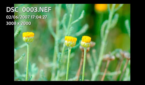 Informations du mode Loupe option 2