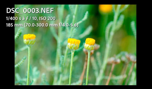 Informations du mode Loupe option 3