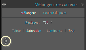 Outil cible du Mélangeur de couleurs de Lightroom Classic