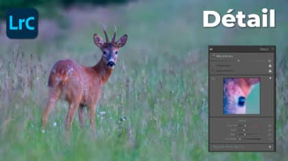 Panneau Détails de Lightroom Classic