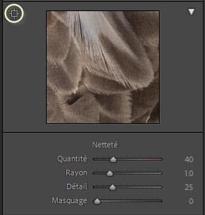 Le panneau Détail de Lightroom Classic