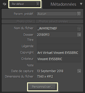 Panneau Métadonnées par défaut dans Lightroom Classic