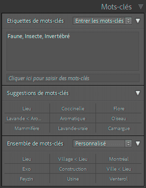 Panneau Mots-clés