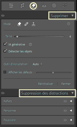 Panneau Supprimer de Lightroom Classic