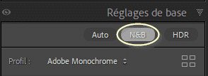 Réglage de base noir et blanc dans Lightroom Classic