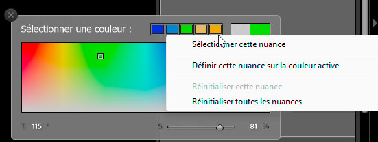 Gestion de la palette des nuances de masque de Lightroom Classic