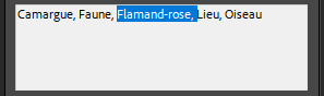 Sélection de mot-clé dans Lightroom Classic