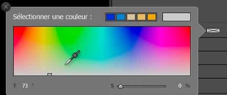 Sélectionner une nuance dans la palette de Couleurs Effet de Lightroom Classic